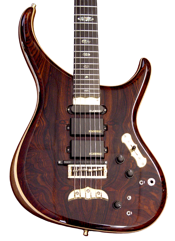 Orion guitar in Cocobolo