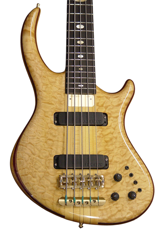 Rogue bass in Amber Tint