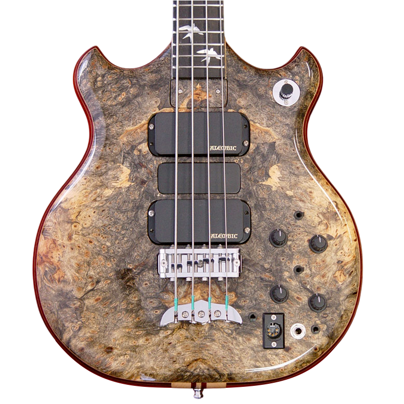 Series I bass in Dark Buckeye