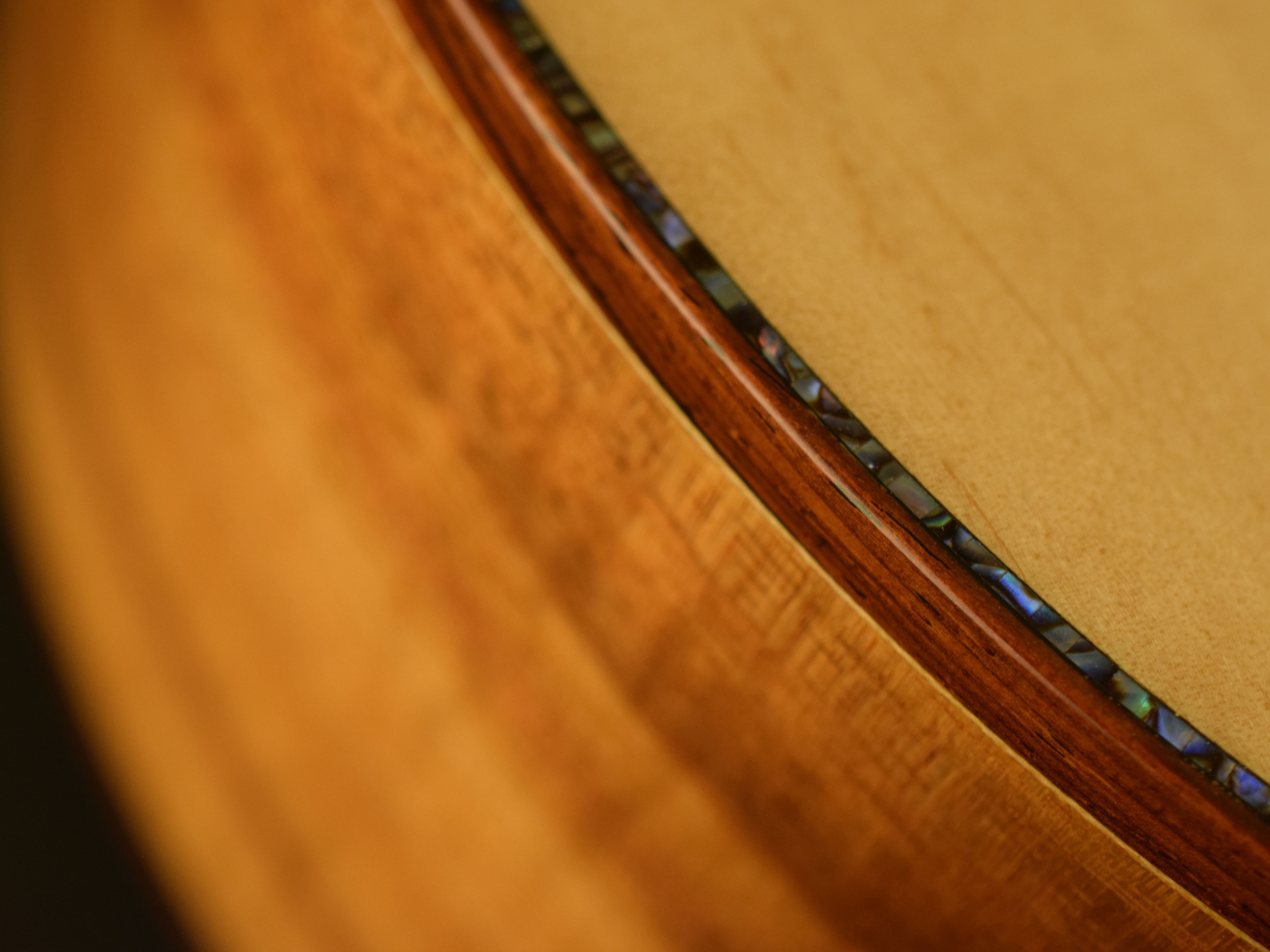 Cocobolo binding