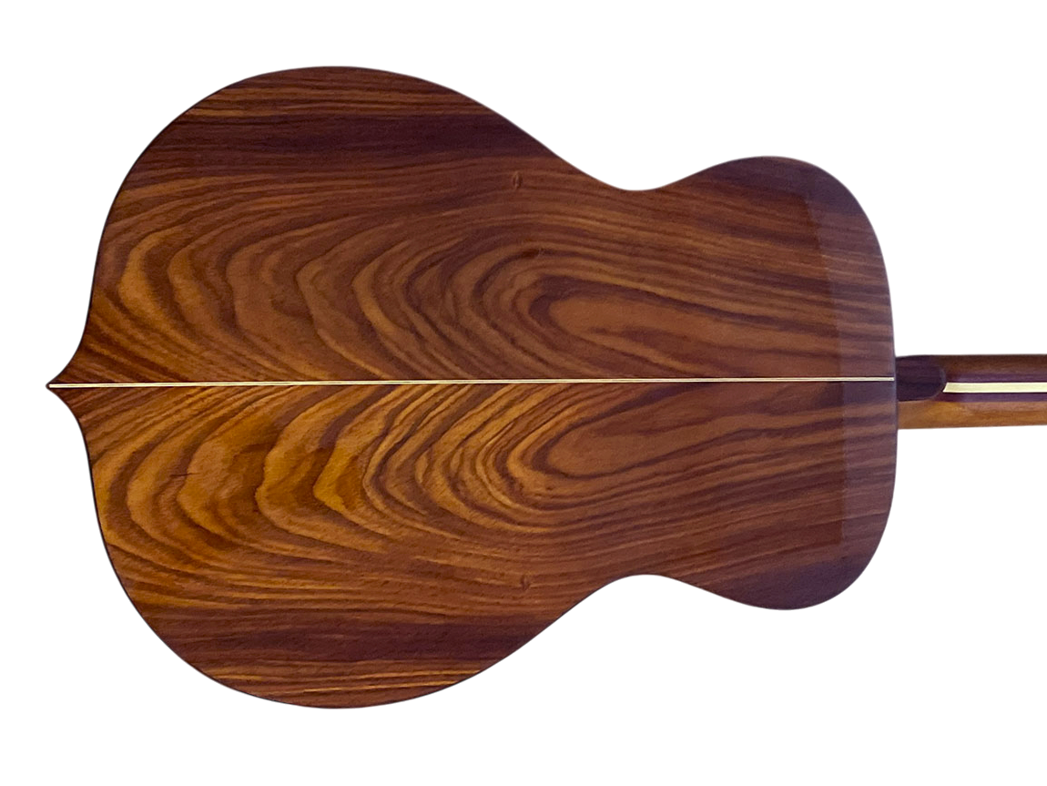 Element Cocobolo back
