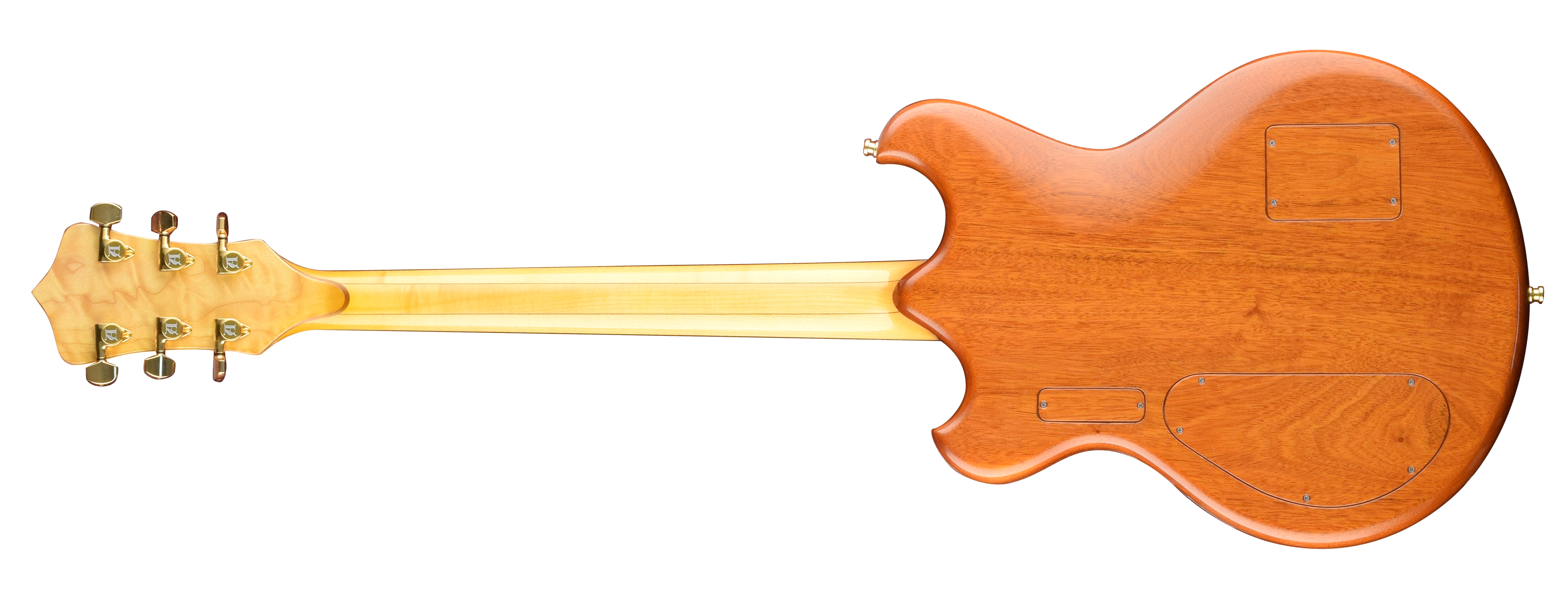 Skylark guitar back