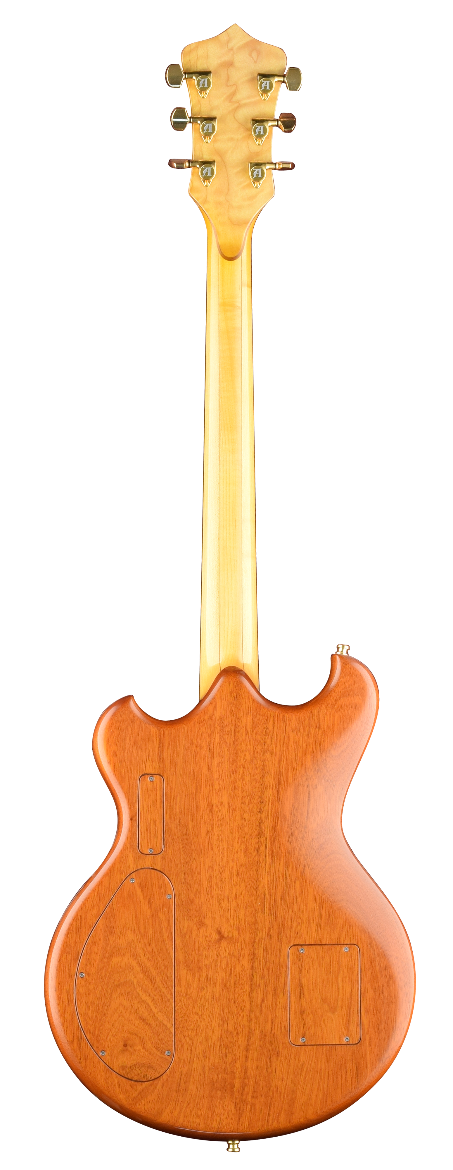 Skylark guitar back