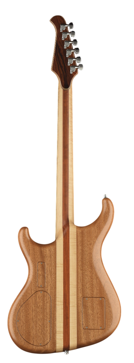 Spectrum guitar front