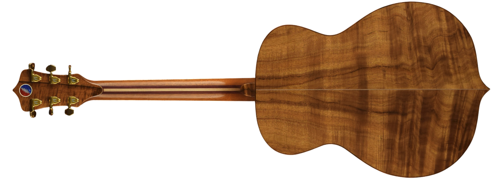 Element acoustic guitar back