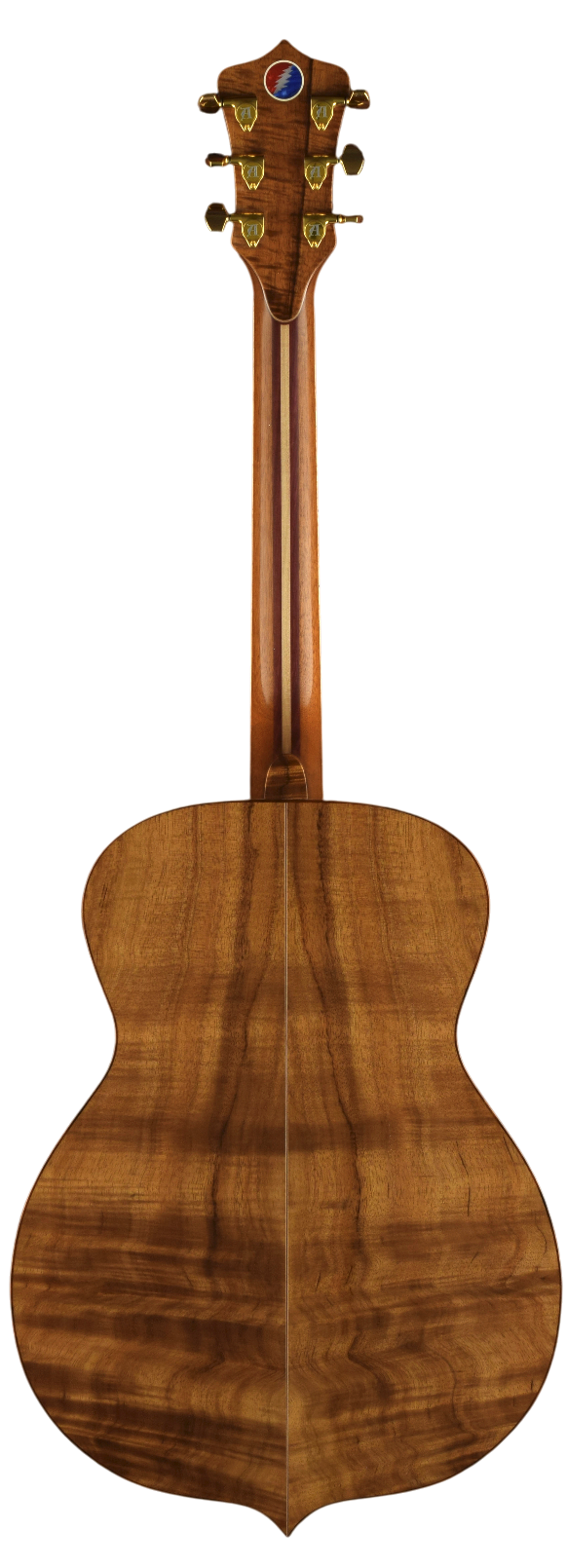 Element acoustic guitar front