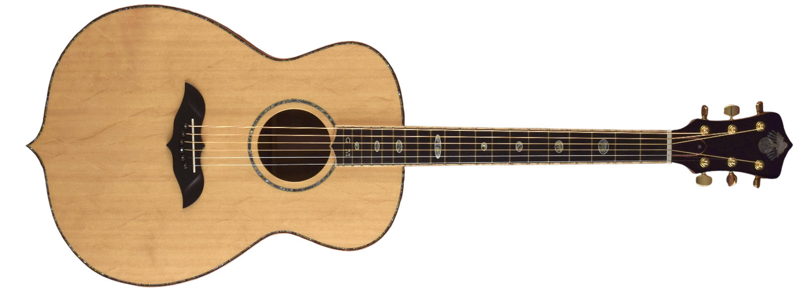 Element acoustic guitar front