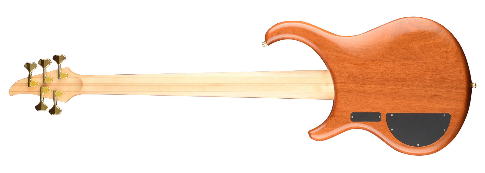 Back view of Excel 5-string bass showing Mahogany body