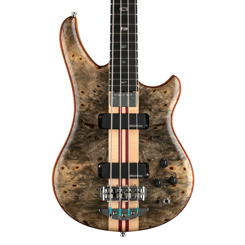 Essence 4 body shape