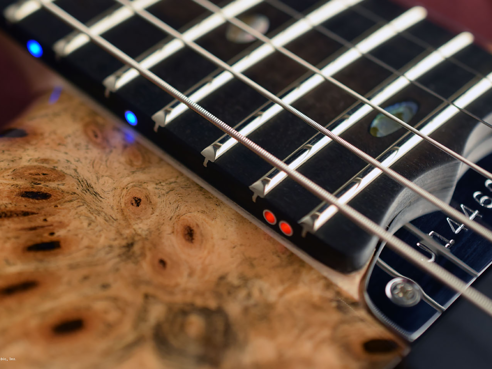 Blue with Red LED Side Lights