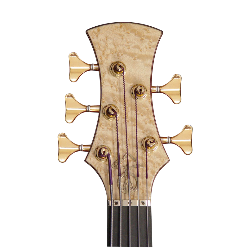 Fan 5 headstock
