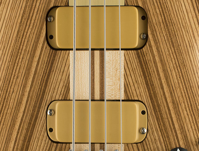 Butterscotch Plain AXY4 Pickup