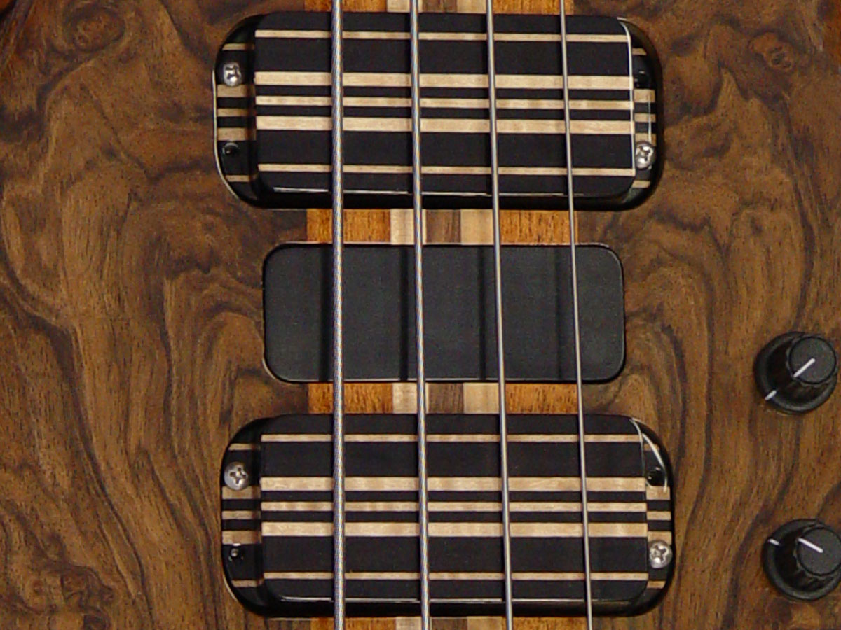 Laminated Ebony and Flame Maple Encased Pickup