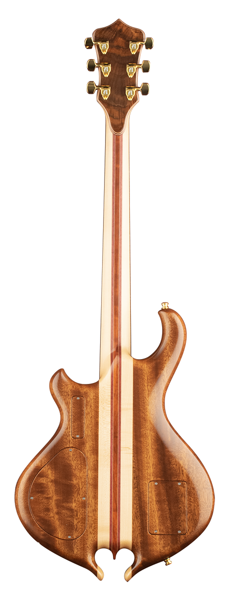 Sigature Deluxe back