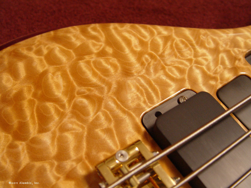 Chocolate Quilted Maple
