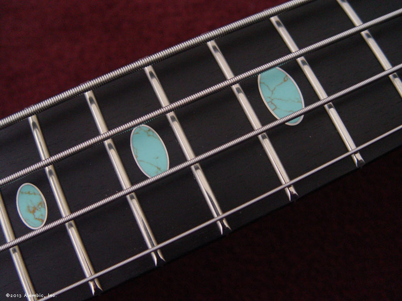 Turquoise Inlays