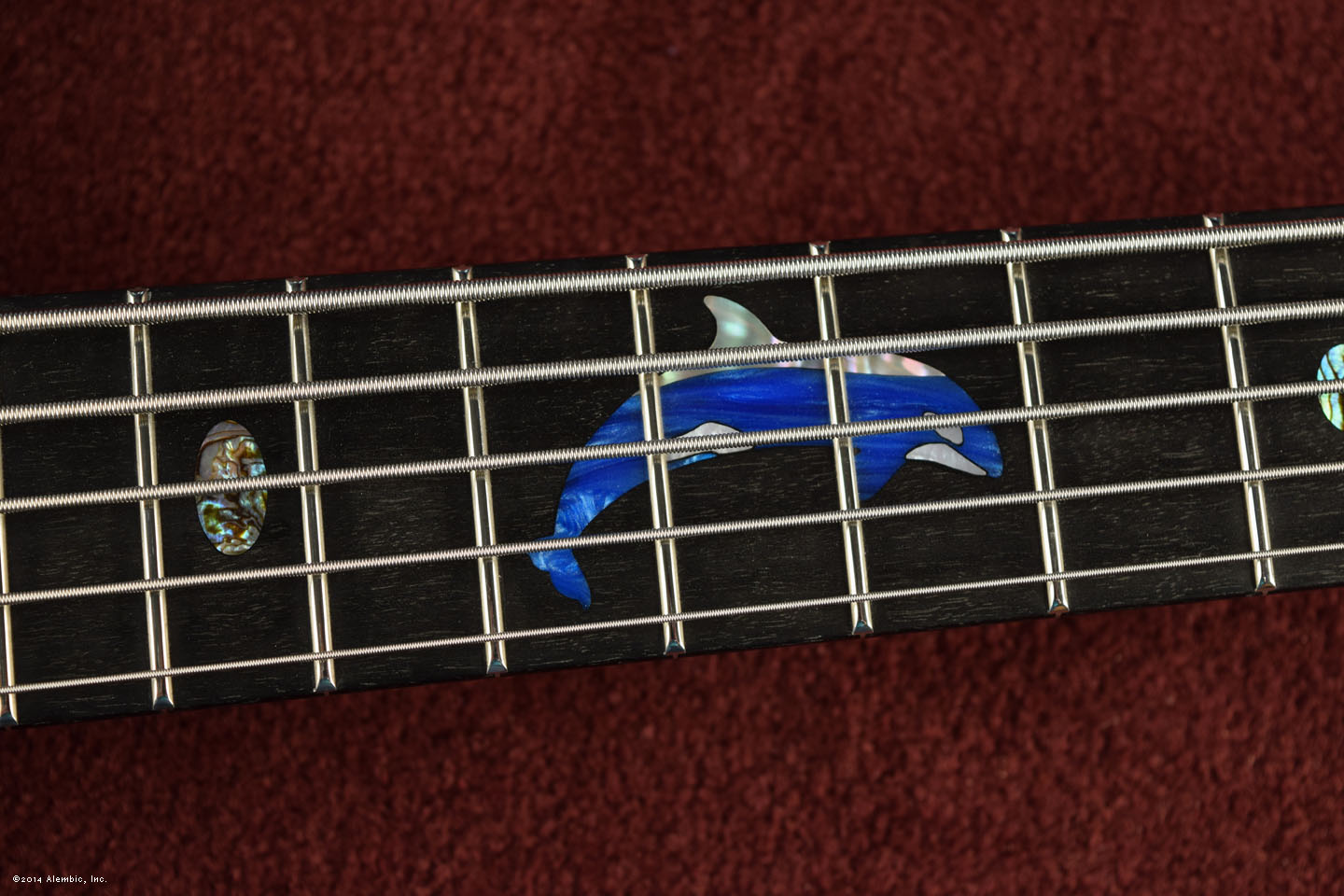 Orca Inlay